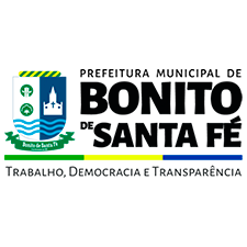 bandeira do estado