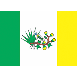 bandeira do estado